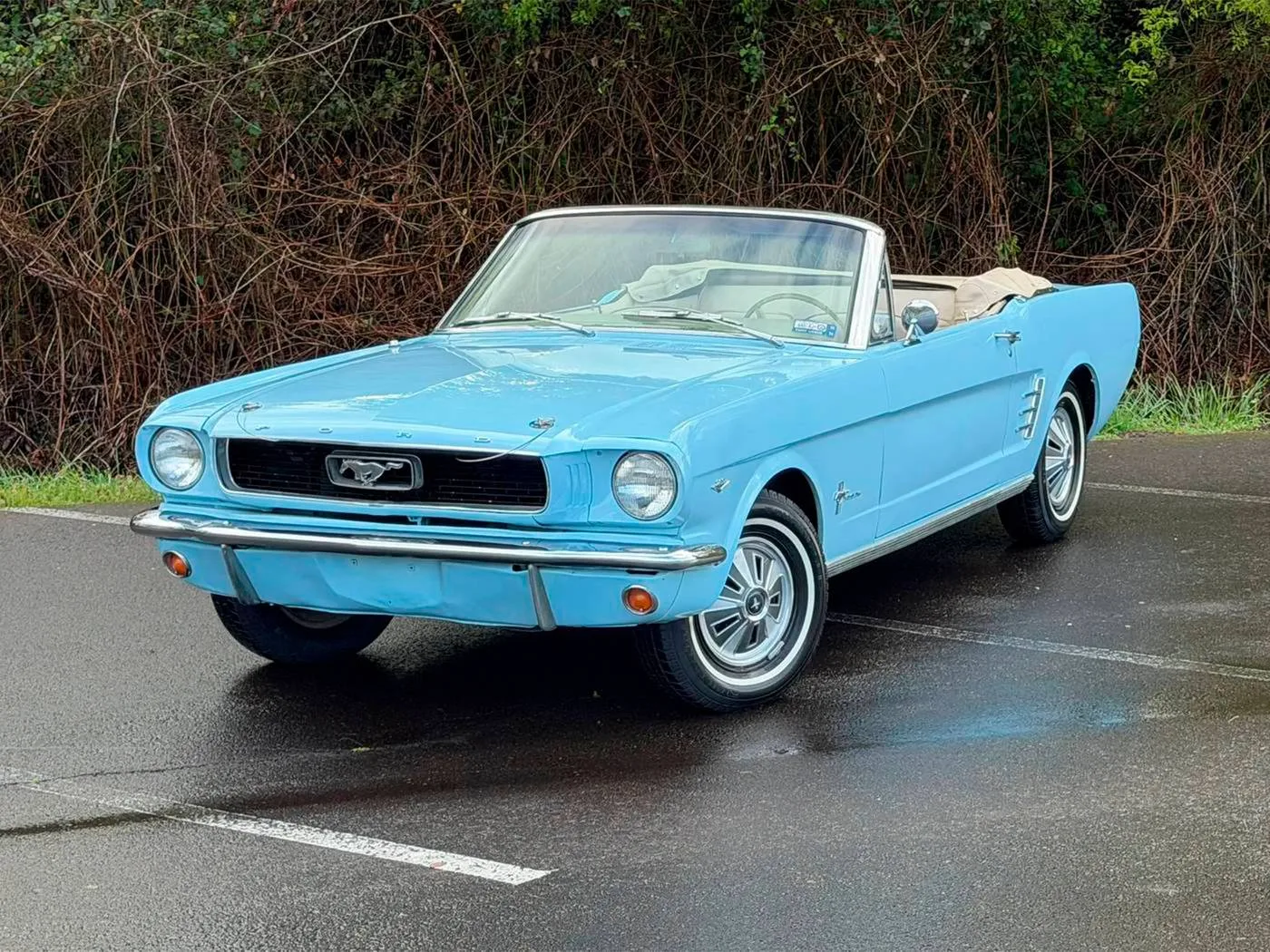 1966 Ford Mustang