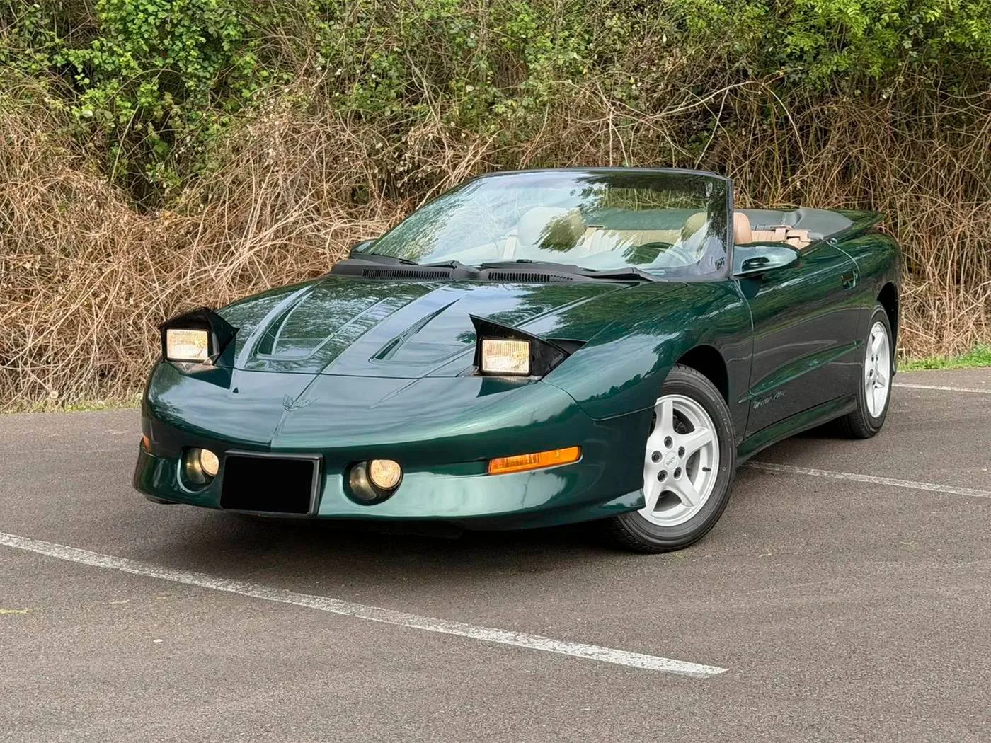 1995 Pontiac Firebird